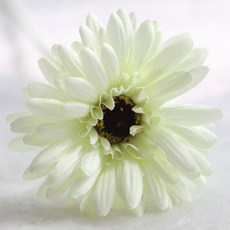 블럭마트 조화 거베라 국화꽃, 라이트그린, 5개