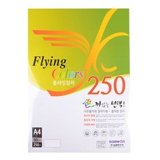 삼원특수지 OA용지 플라잉칼라250 복사용지 레인보우, A4, 250매