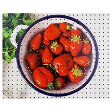 앤비커머스 인테리어타공판 레드베리3 WHITE, 1개