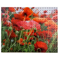 Nbecome 室內裝飾洞洞板 RedRed5 白色, 1個