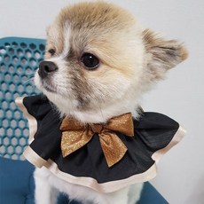 도그맘 반려동물 골드리본케이프 S~M, 블랙, 1개