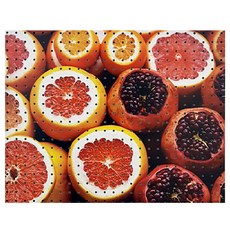 AnB Commerce 室內裝飾洞洞板 石榴A 白色, 1個