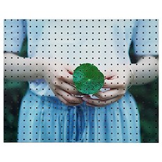 NV Commerce 室內裝飾洞洞板 Duson Green 白色, 1個