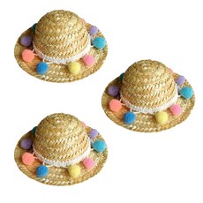 4 月 16 日 Pet Pom Pom 草帽內圓球 3p, 隨機發貨