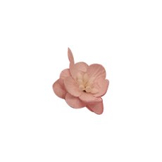 볼륨7 페이퍼 블라섬 cherry blossoms, saa053(pale pink), 1개