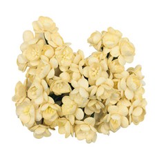 볼륨7 페이퍼 블라섬 cherry blossoms, saa059(cream), 1개