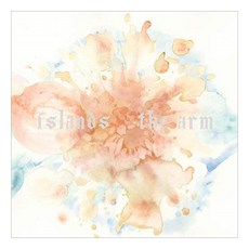 Islands - Arm's Way 영국수입반, 1CD