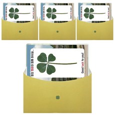 LUCKY7DAYSI 幸運四葉草花塗卡目標大學, 延世大學, 4件