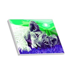 Hello Painting DIY手繪畫布圖案 臥豹, 6