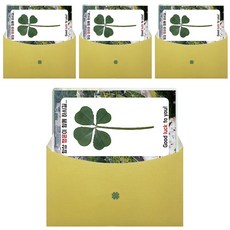 幸運四葉草真花護貝卡 目標大學, 梨花女子大學, 4入