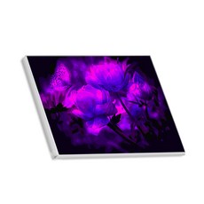 Hello Painting DIY手繪帆布畫 飛來蝴蝶系列, 3