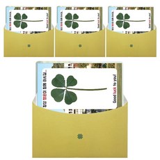 LUCKY7DAYSI 幸運四葉草花塗卡目標大學, 祥明大學, 4件