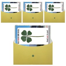 LUCKY7DAYSI 幸運四葉草花塗卡目標大學, 首爾女子大學, 4件