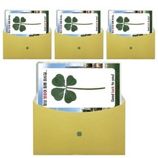 LUCKY7DAYSI 幸運四葉草花塗卡目標大學, 國民大學, 4件