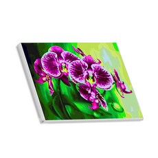 Hello Painting DIY手繪圖稿 蘭花系列, 09, 1個