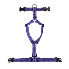 coco tail 反光H型胸背帶, 紫羅蘭色