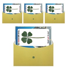LUCKY7DAYSI 幸運禮物四葉三葉草目標卡+信封套組, 忠南國立大學, 4套