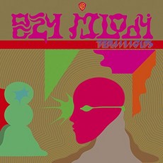 The Flaming Lips - Oczy Mlody 미국수입반, 1CD