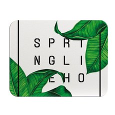 Super6 植物插圖速乾矽藻土浴墊 S 35 x 45cm, M-131, 1個