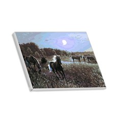 Hello Painting DIY帆布繪畫組 草原馬款, 2