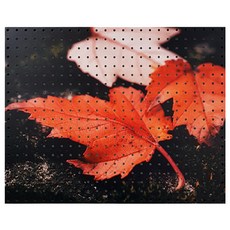 Anbi Commerce 落葉明信片 室內裝潢 洞洞板 white, 1個