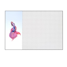 앤비커머스 뷰티피쉬 인테리어 타공판 좌WHITE, 1개