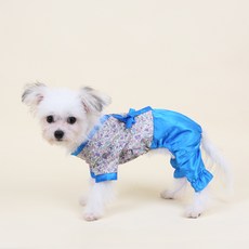 you're a peach 寵物花風韓服, 藍色