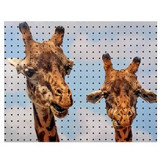 기린친구 타공판 500 x 400 mm, 1개, 혼합색상