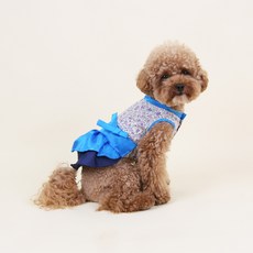 you're a peach 寵物忠夏韓服, 藍色