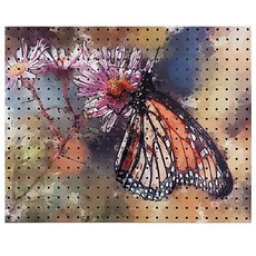 NB Commerce Butterflywatercurly 室內洞洞板 白色, 1個