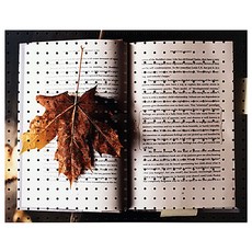 앤비커머스 落葉明信片BB 室內裝飾洞洞板 white, 1個