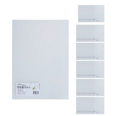 ECO Chungwoon 名片夾 文件夾 A4 50頁, 透明, 1套