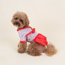 you're a peach 寵物賞花韓服, 紅色的