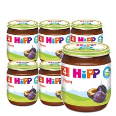 힙 과일 이유식, 자두, 125g, 6개