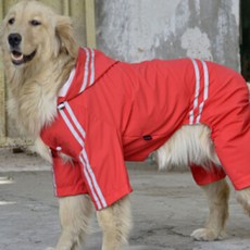 댕댕이 대형견 두줄 레인보우 판쵸우의, 레드, 1개