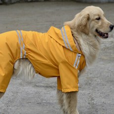 댕댕이 대형견 두줄 레인보우 판쵸우의, 옐로우, 1개