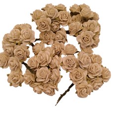 페이퍼블라섬 open rose 북아트재료 saa034 20mm, 혼합 색상, 50개입