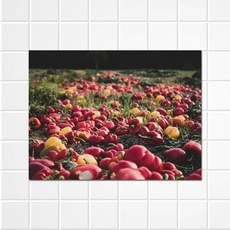 써머스트 키친아트보드 페퍼필드, 1개