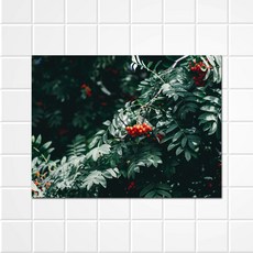 써머스트 키친아트보드 포레스트앤트, 1개