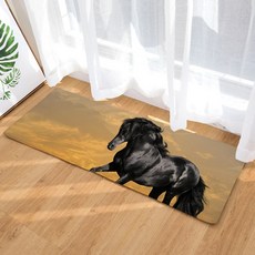 슈퍼식스 생동감있는 말 시리즈 물 흡수 바닥 매트, 8