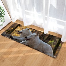 슈퍼식스 동물 시리즈 물 흡수 바닥 매트, 2