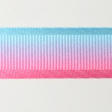 時尚亮點雙面羅紋雙色轉印緞帶 GEL-PR 50碼 25mm, NO 6, 1個