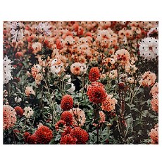 NB Commerce 室內裝飾洞洞板 花園 白色, 1個