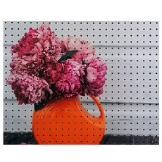 安比商務 室內裝飾洞洞板 花瓣飄落 白色, 1個