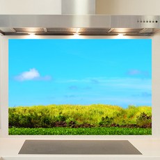 샤이니아트 주방아트보드 변현우작가 들판, 1개