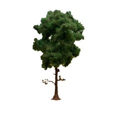 NOCH 複製品 1/87 松樹立體模型 219113DI