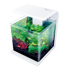 MillePet LED燈水族箱 E-15, 混色