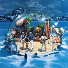 BEACH BOYS - KEEPIN' THE SUMMER ALIVE JPN LP SLEEVE 일본수입반, 1CD