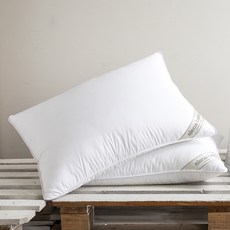 ELENA HEIM 頂級超細纖維枕芯, 白色, 1個