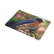 Happy Trading Happy Pop April 廚房浴室地墊, 藍鳥, 1個